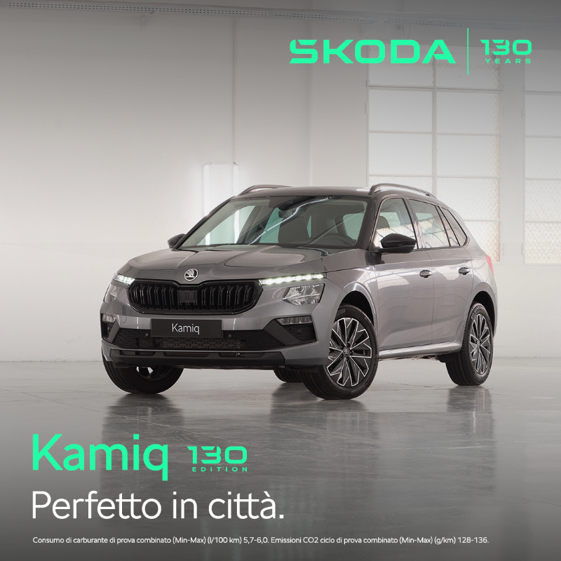 SKODA Summer Days/2.png